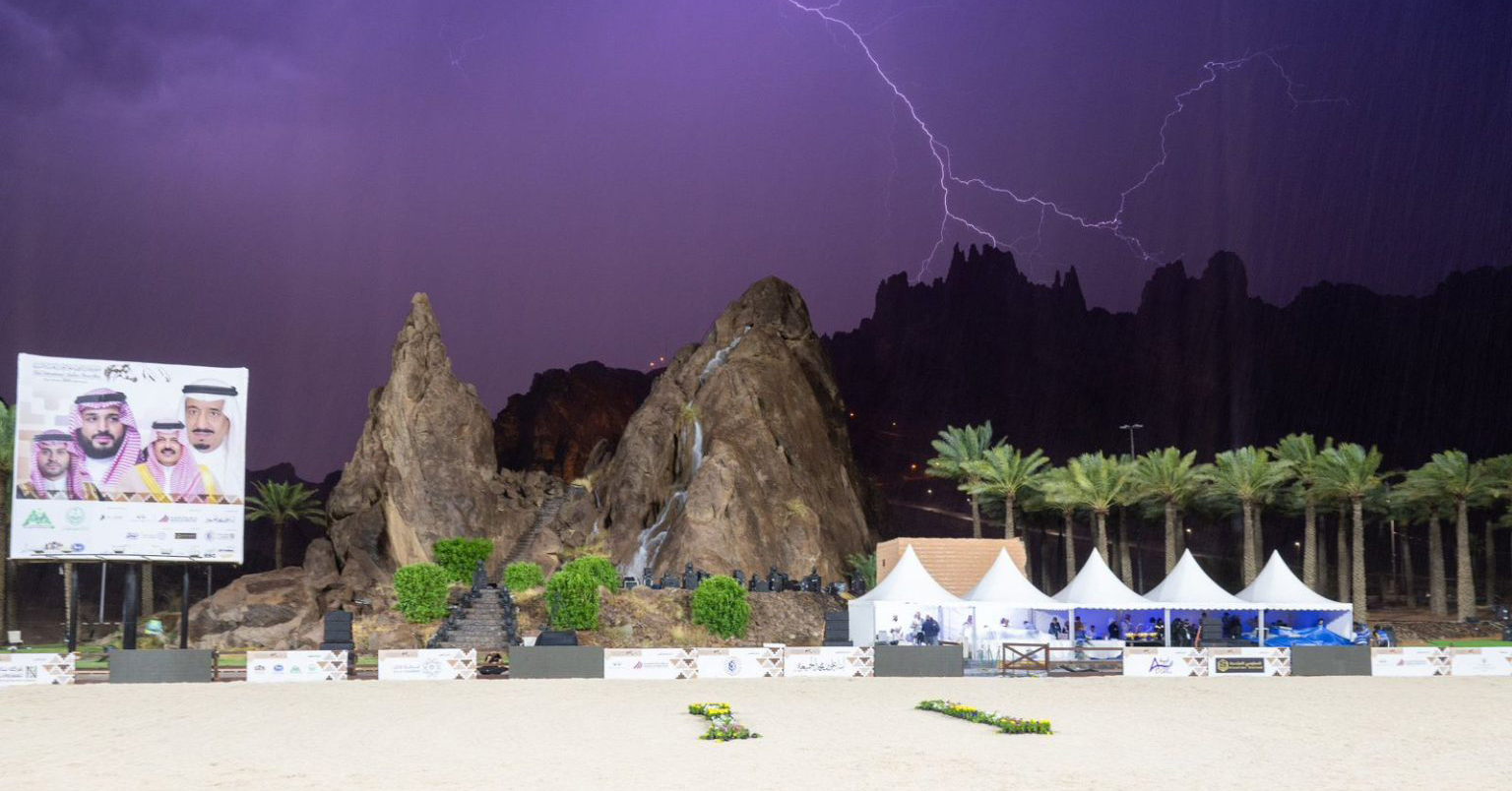 البطولة الدولية لجمال الخيل