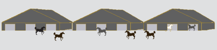 صورة الخيمة